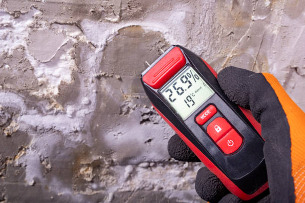 Best Affordable Mold Removal  in Ashland, PA