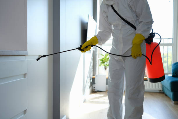 Best Home Mold Removal  in Ashland, PA