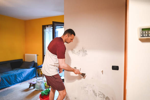Best Mold Testing  in Ashland, PA